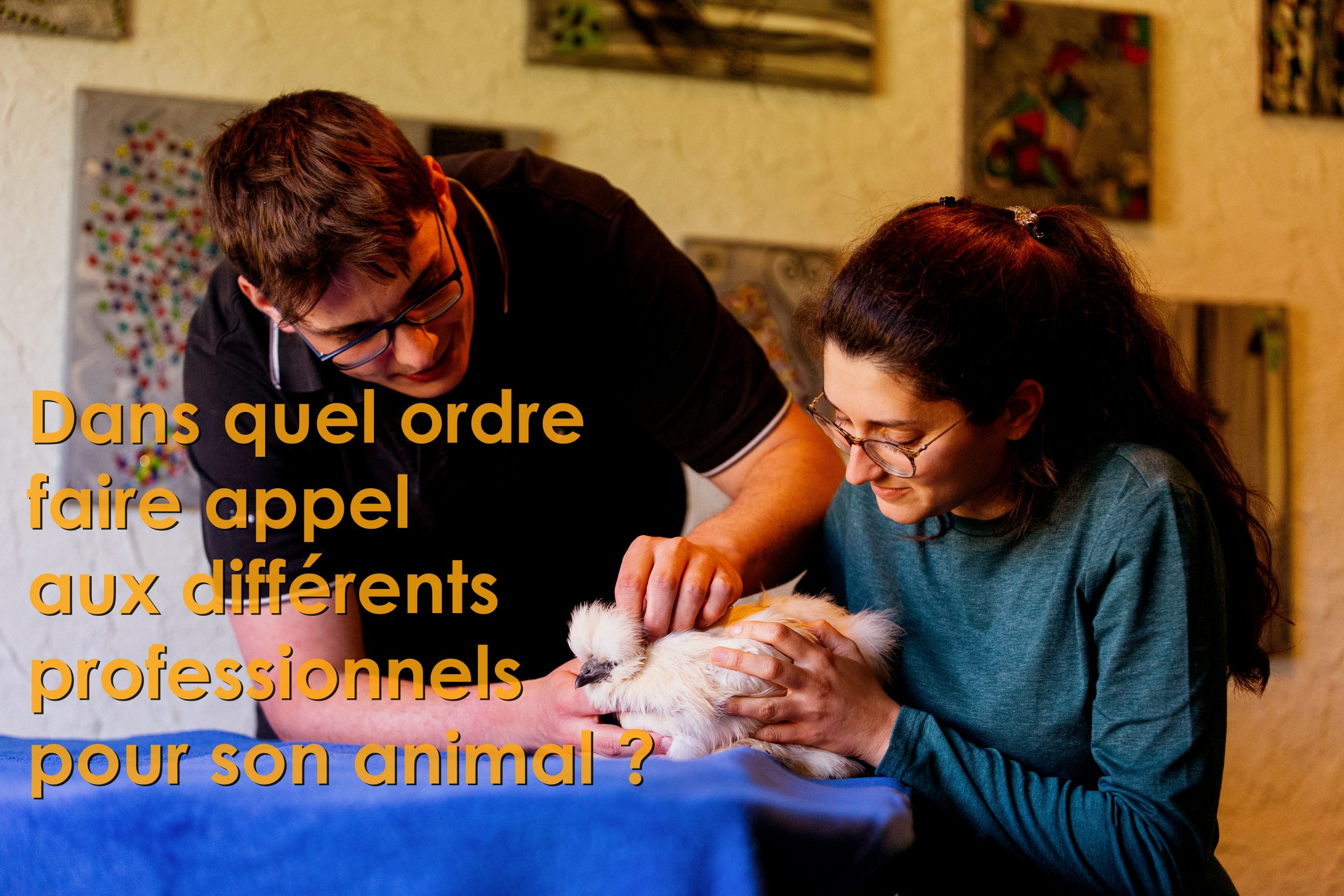 Dans quel ordre faire appel aux différents professionnels de santé pour son animal