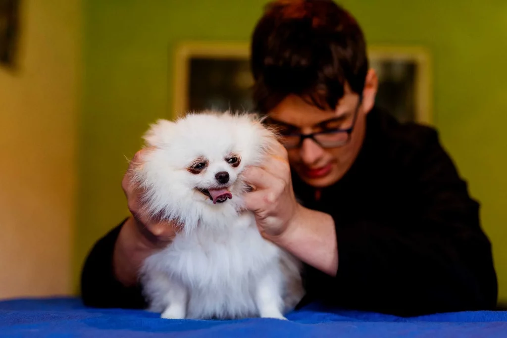 Chien cabinet David Les prestations Osteopathes pour animaux Sarthe Laurie et David MENU