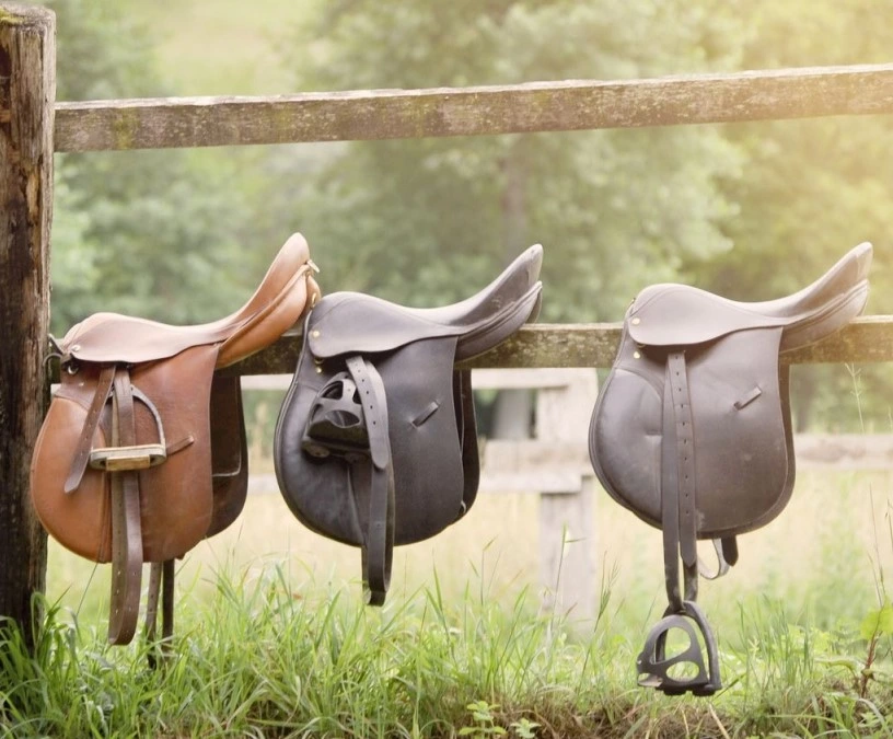 Saddle-fitter ajustant une selle sur le dos d'un cheval
