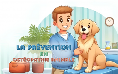 La prévention en ostéopathie animale