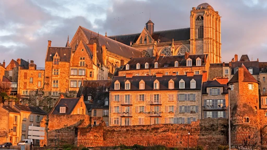 Osteopathe animalier Le Mans