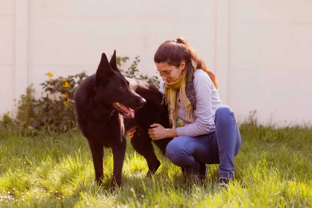 Chien Laurie Accueil Osteopathes pour animaux Sarthe Laurie et David MENU 1024x682 1 1