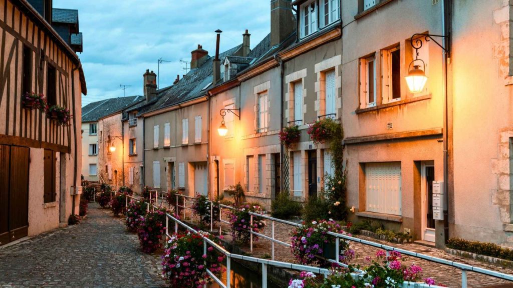 Ostéopathe animalier Beaugency 1 Osteopathe animalier beaugency 1