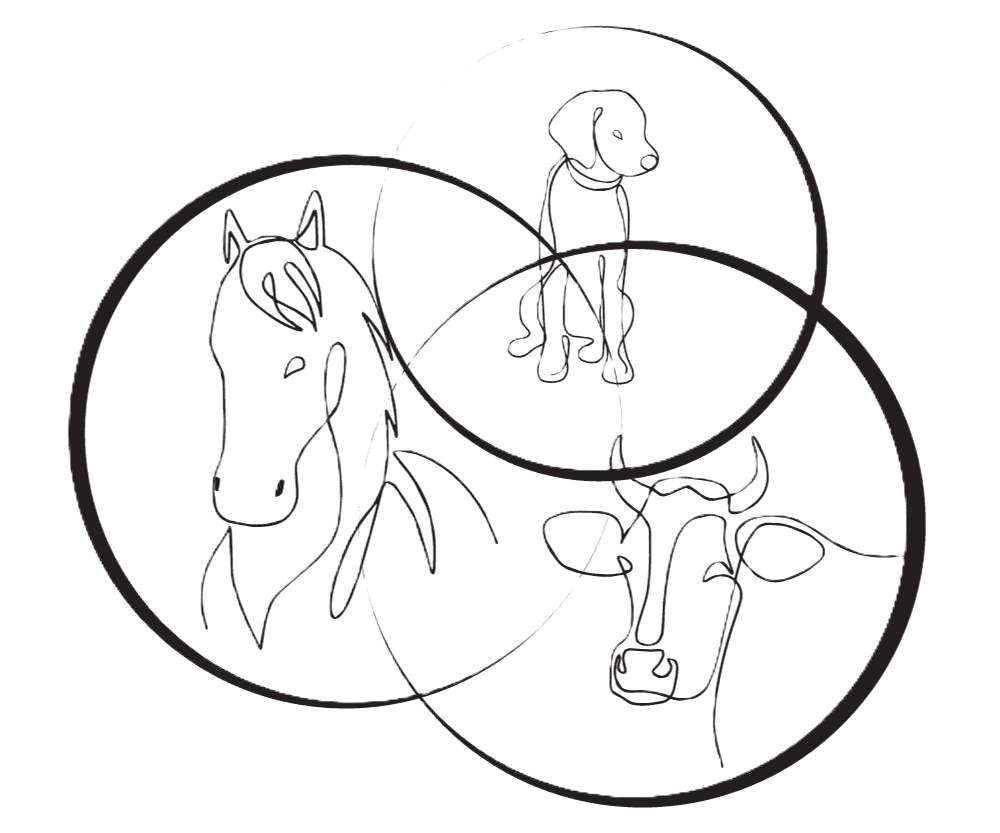 Laurie et David - Ostopathes Animaliers