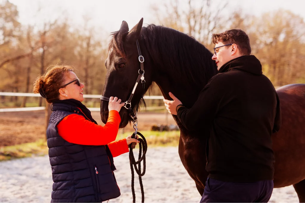 Ostéopathe animalier dans le Loiret 7 Prestations osteopathe animaux sarthe