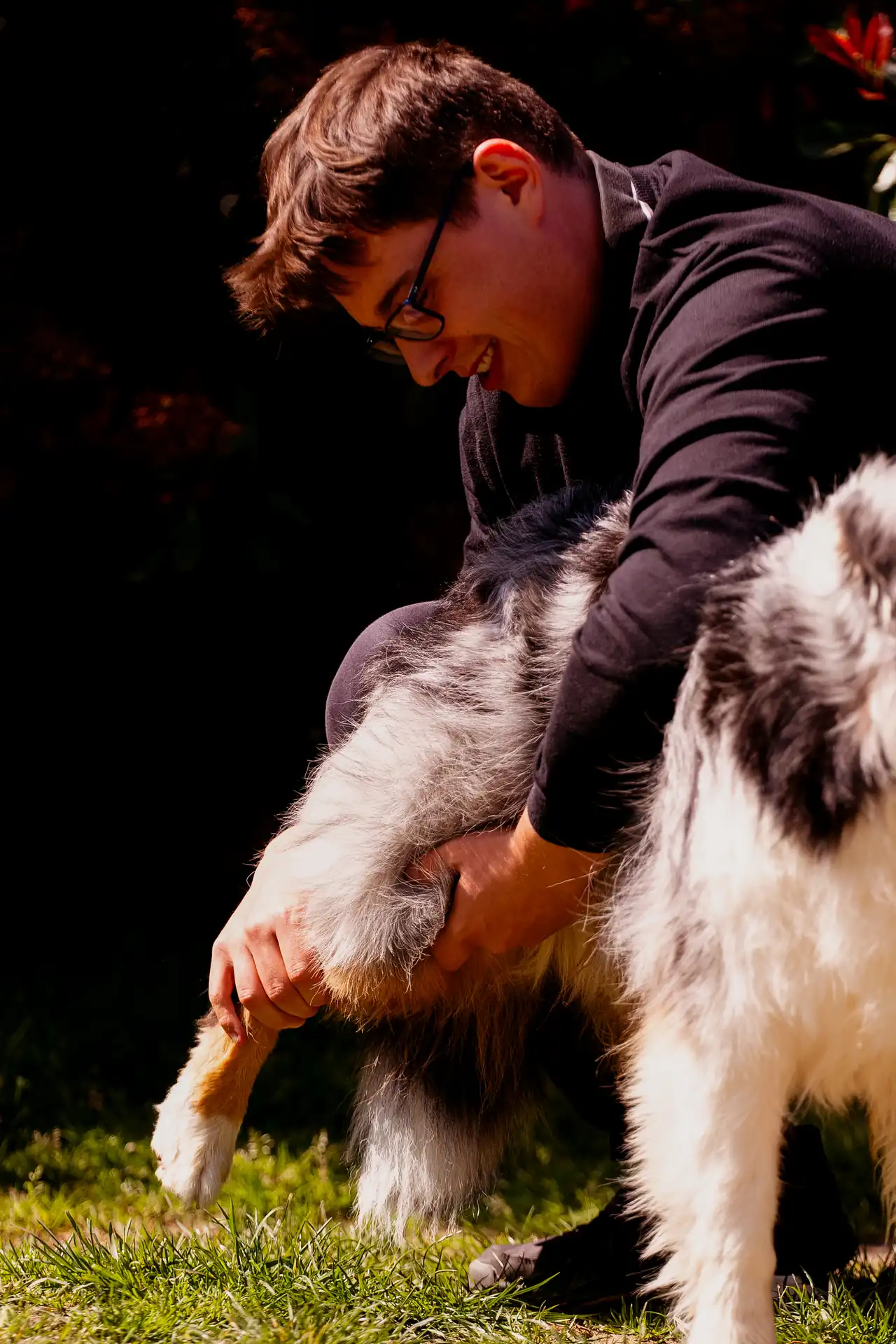 Ostéopathe chiot : pourquoi, quand et comment consulter 3 Examen ostéopathique de la patte avant d'un jeune chien