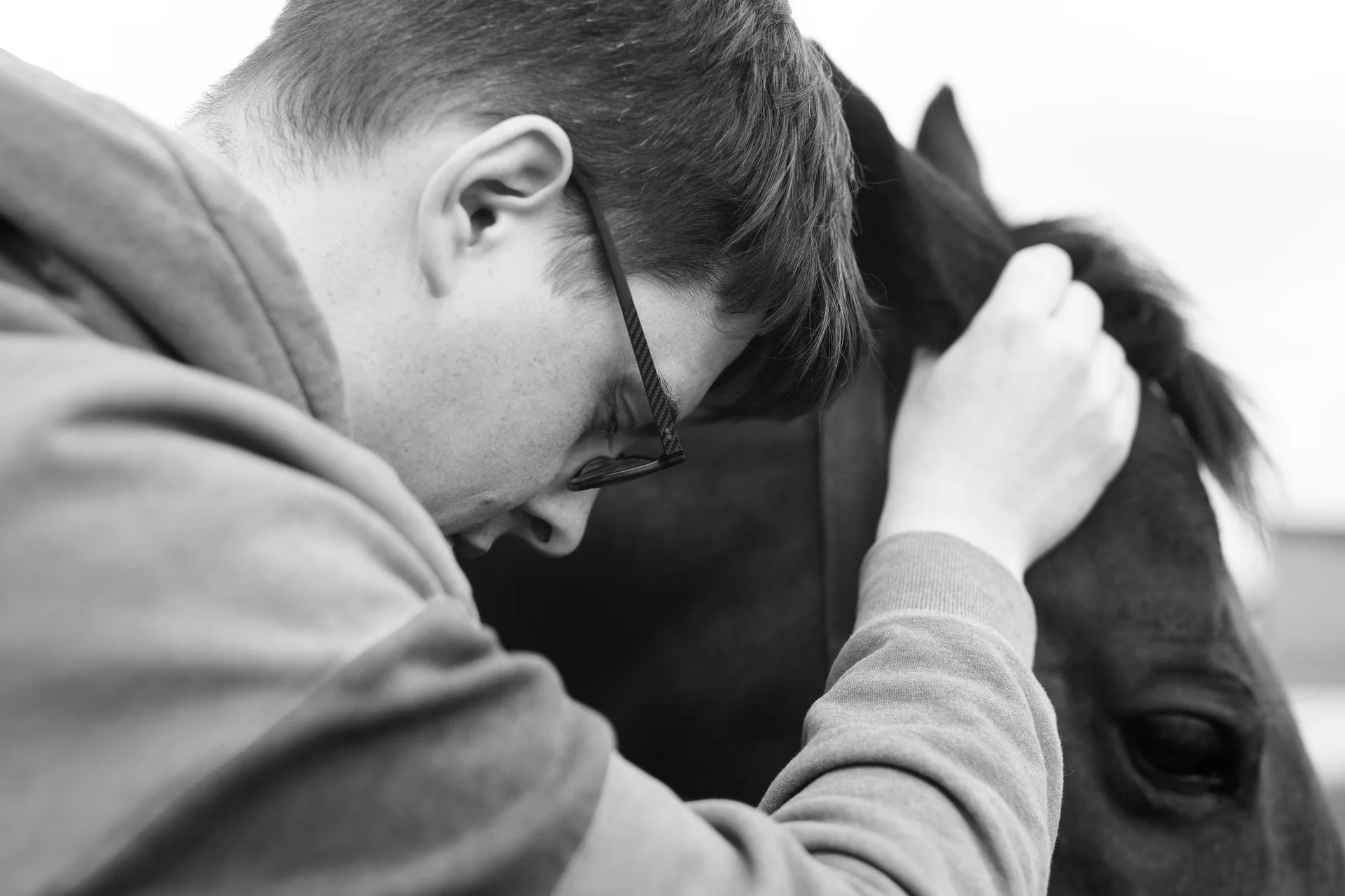 Phase de palpation lors d'une séance d'ostéopathie animale