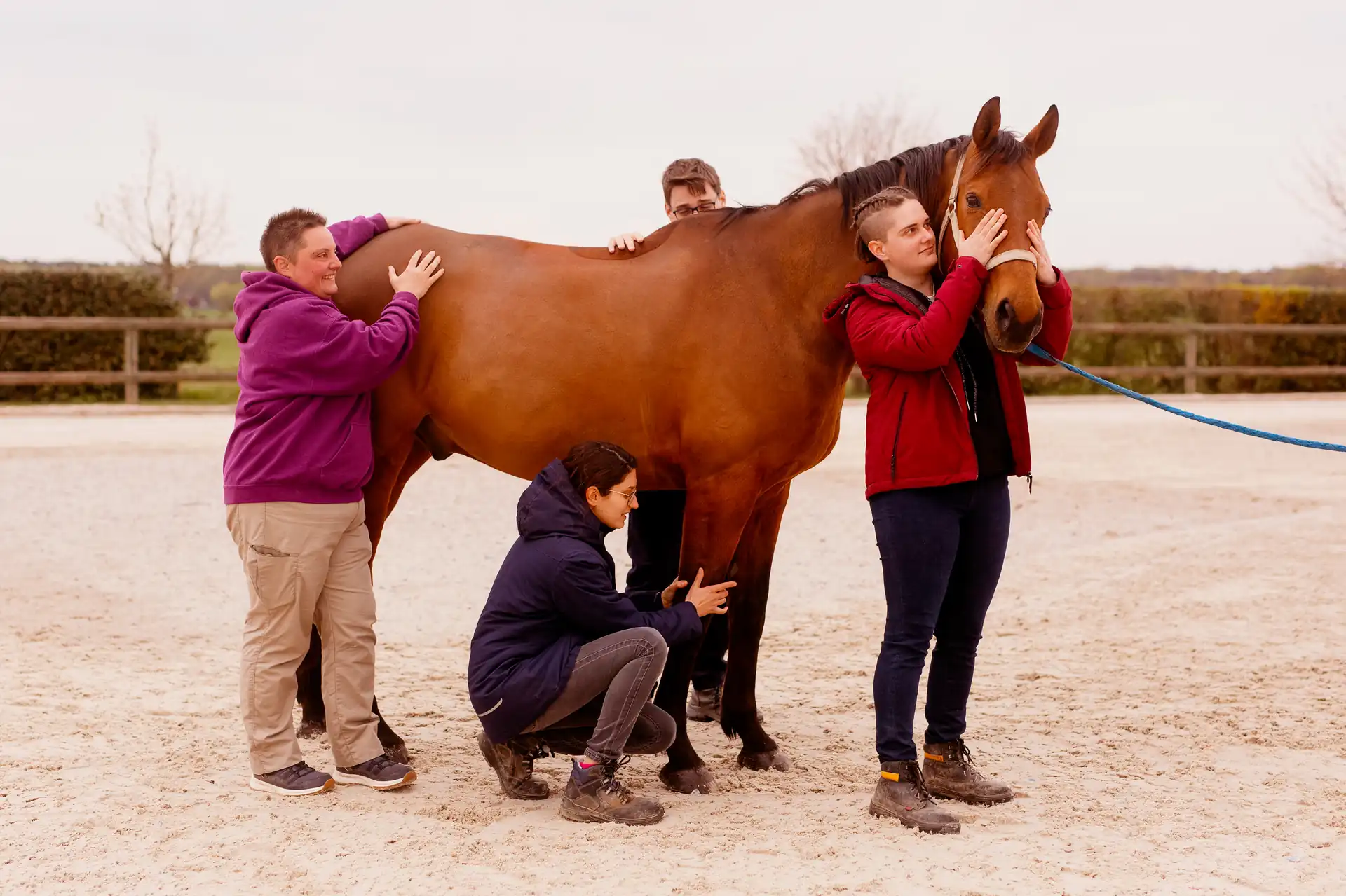 Ostéopathe en séance avec un poney gris en extérieur
