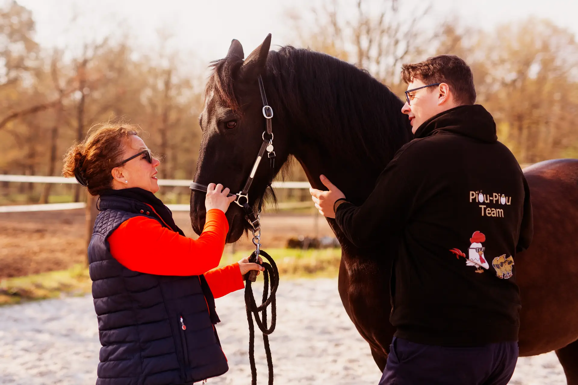 Séance d'ostéopathie sur un poney blanc au manège