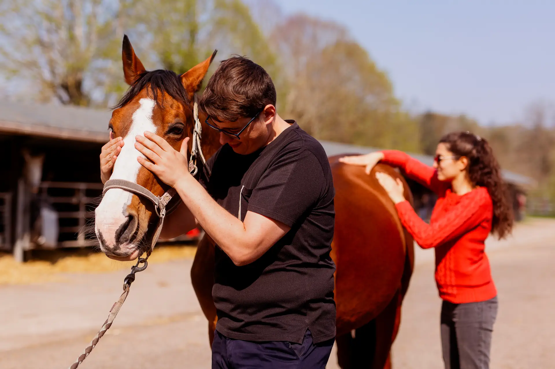 Palpation ostéopathique de l'encolure d'un cheval pour identifier un blocage cervical