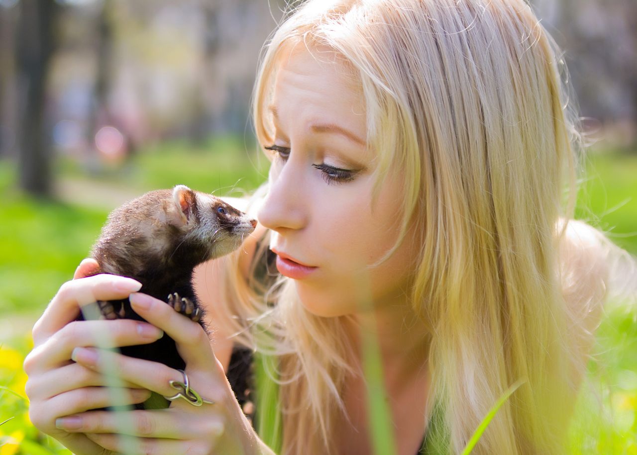 Femme tenant délicatement son furet domestique dans un parc